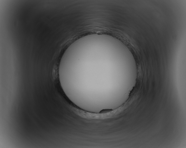 X0000099580043200805160755