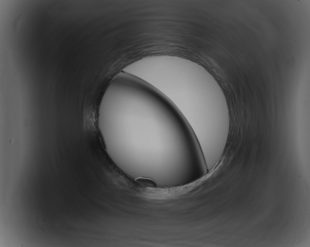 X0000099580045200805160755