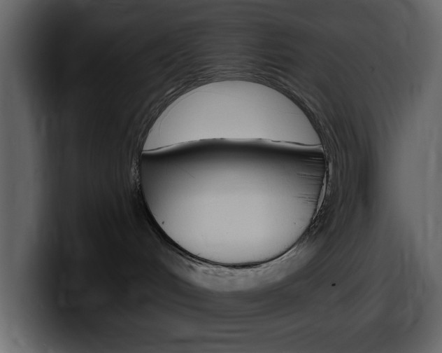 X0000099580048200805160754