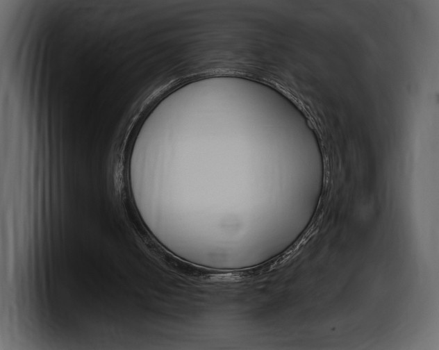 X0000099580050200805160754