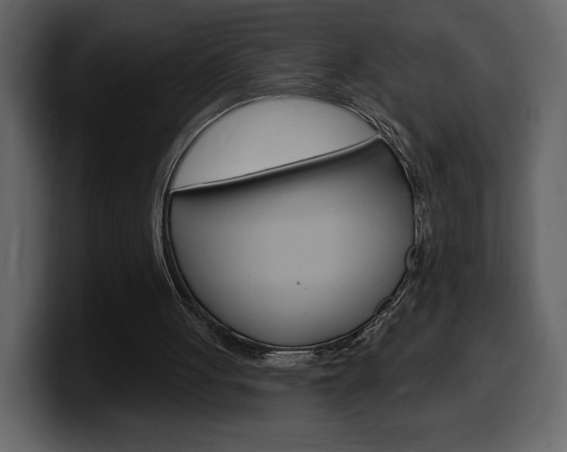 X0000099580051200805160754