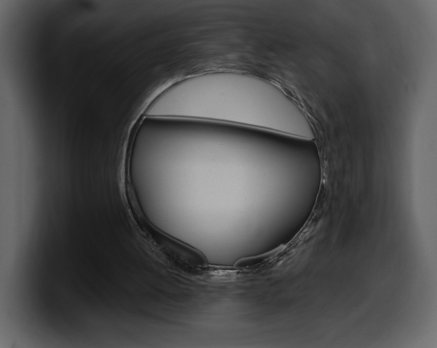 X0000099580052200805160754