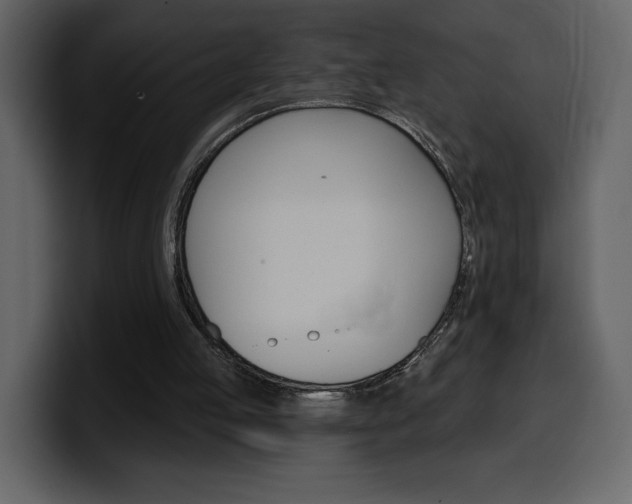 X0000099580053200805160754