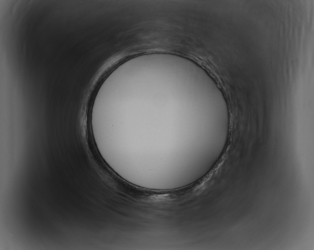 X0000099580054200805160754
