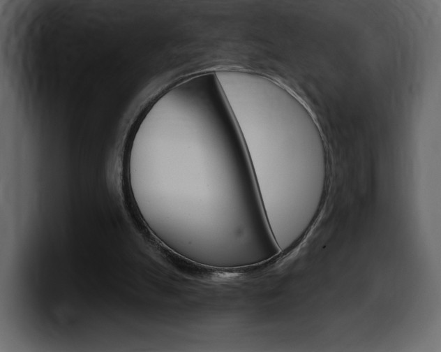 X0000099580055200805160754