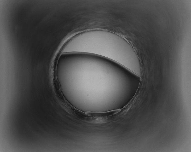 X0000099580056200805160754