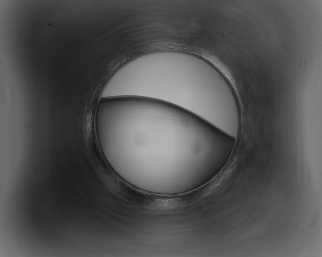 X0000099580057200805160754