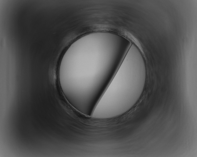 X0000099580059200805160754
