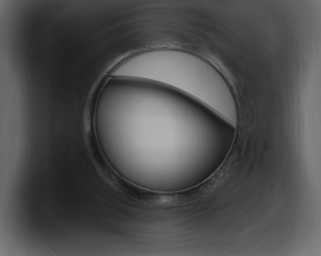X0000099580060200805160754