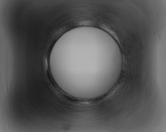 X0000099580061200805160754