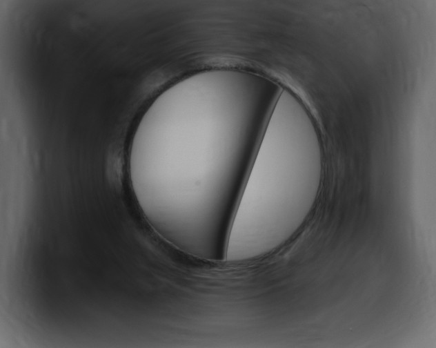 X0000099580063200805160754