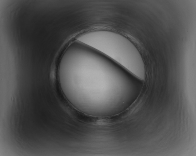 X0000099580064200805160754