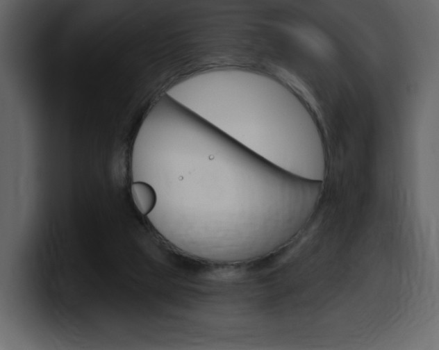 X0000099580065200805160754
