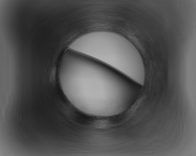 X0000099580066200805160754