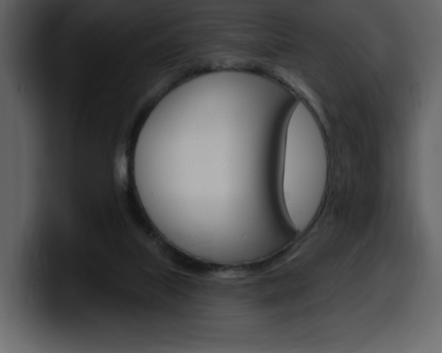 X0000099580067200805160754