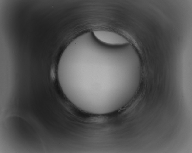 X0000099580069200805160754
