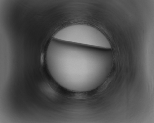X0000099580070200805160754