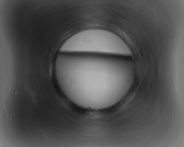X0000099580071200805160754