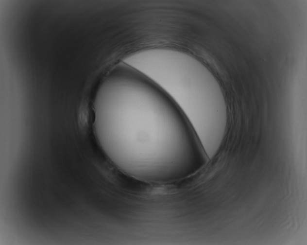 X0000099580072200805160754