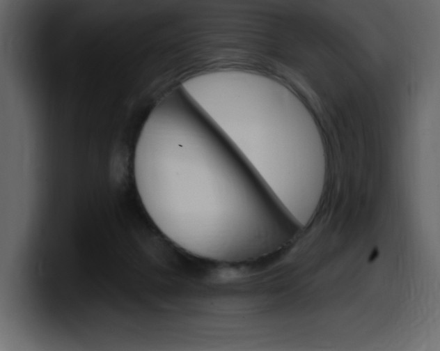 X0000099580073200805160754