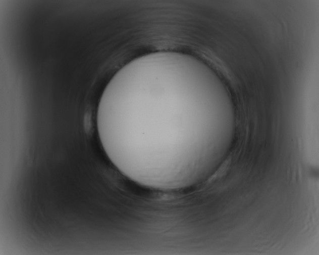 X0000099580074200805160754
