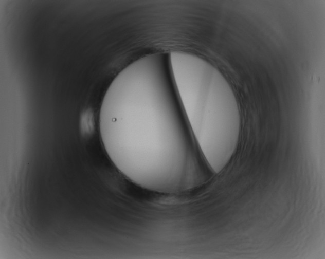 X0000099580075200805160754