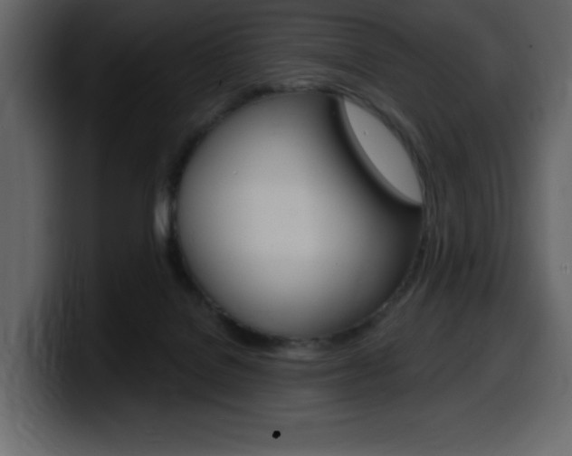 X0000099580076200805160754