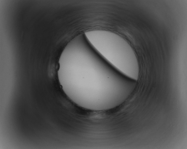 X0000099580077200805160754