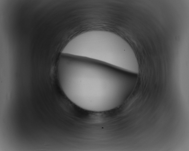 X0000099580079200805160754