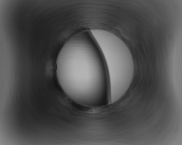 X0000099580080200805160754