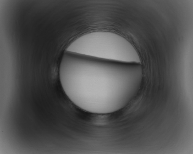 X0000099580081200805160754