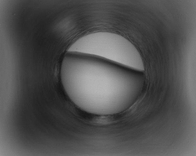 X0000099580082200805160754