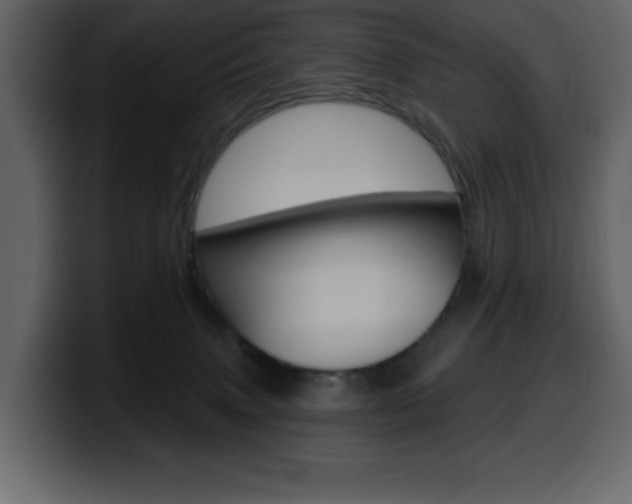 X0000099580083200805160754