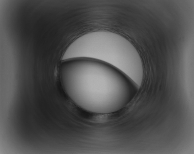 X0000099580084200805160754