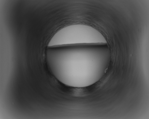 X0000099580085200805160754
