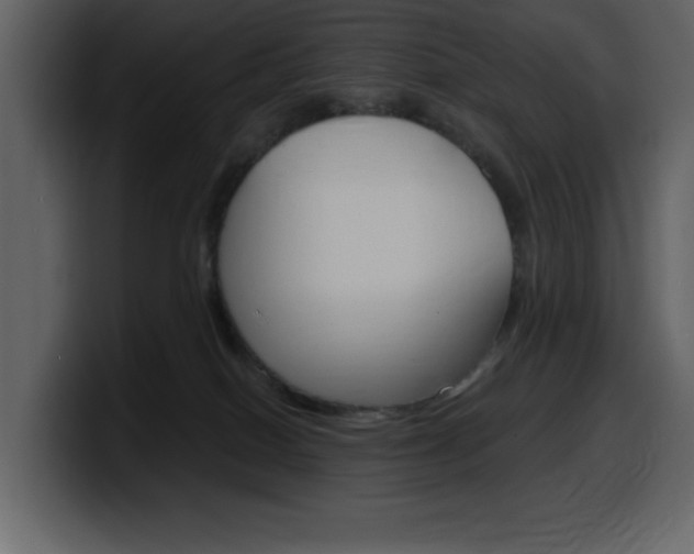 X0000099580086200805160754