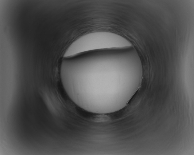 X0000099580087200805160754