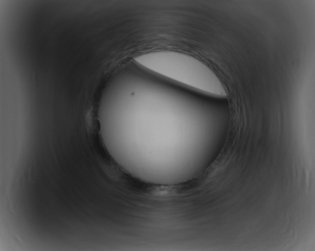 X0000099580088200805160754