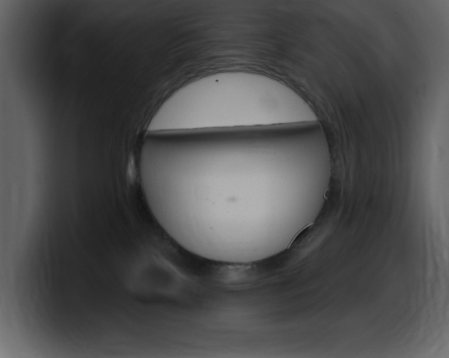 X0000099580089200805160754