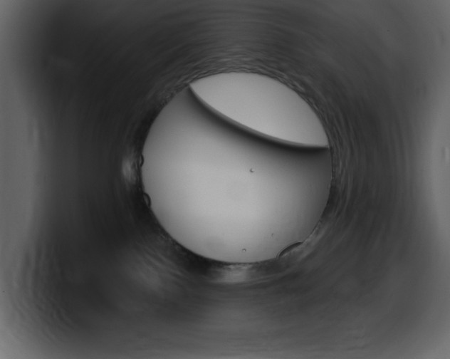 X0000099580090200805160754