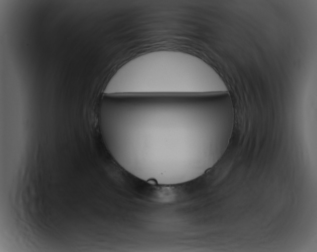 X0000099580091200805160754
