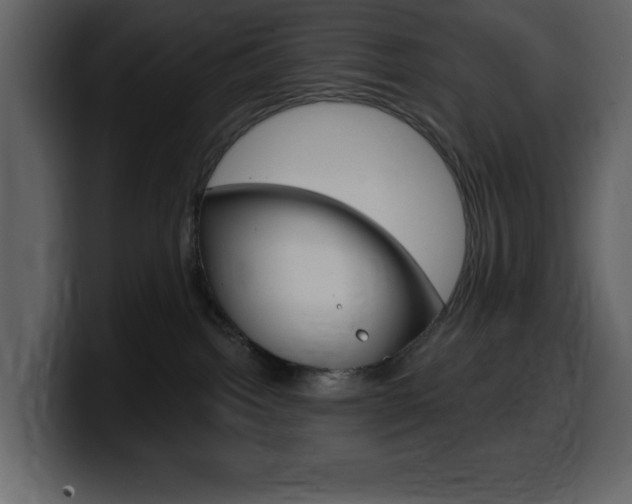 X0000099580092200805160754
