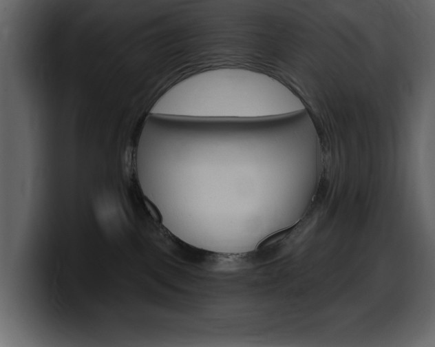 X0000099580093200805160754