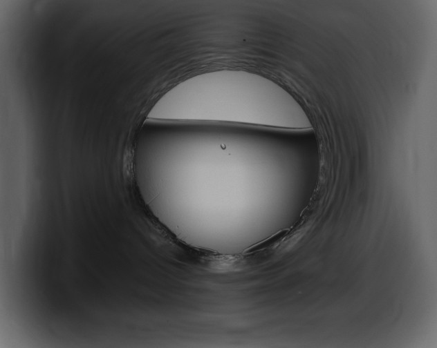 X0000099580096200805160754