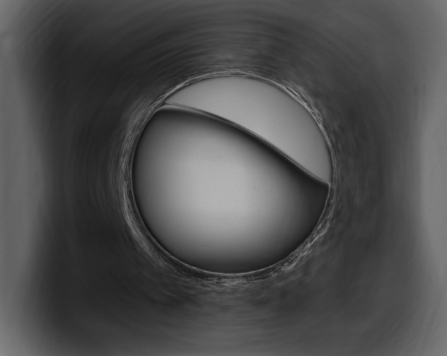 X0000099580097200805160754