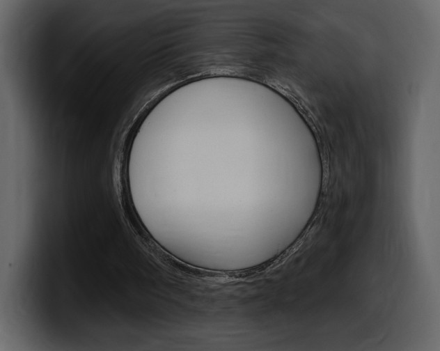 X0000099580098200805160754