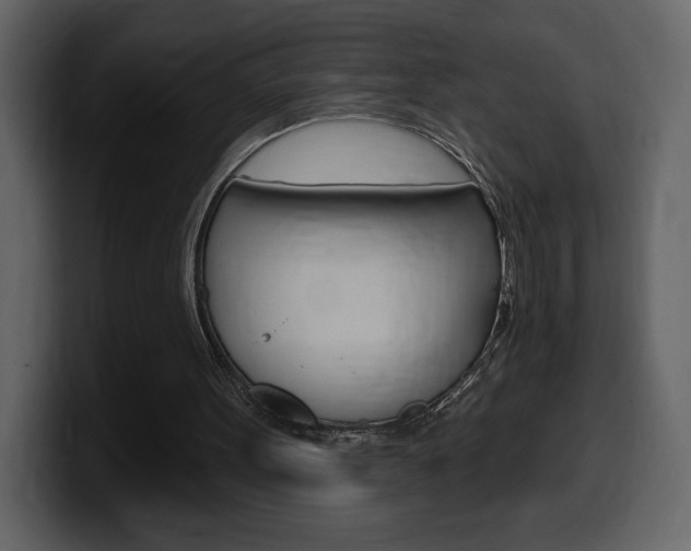 X0000099580099200805160754