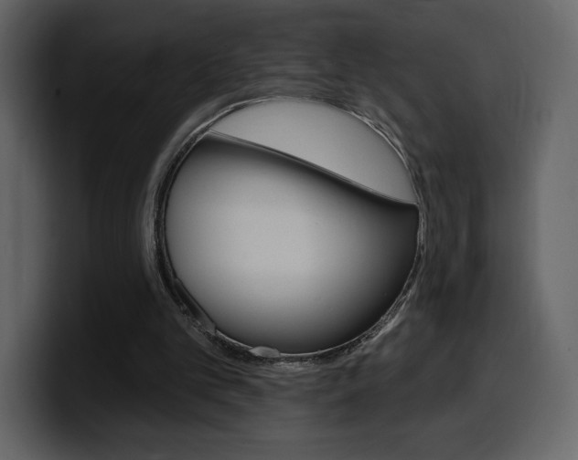 X0000099580101200805160754