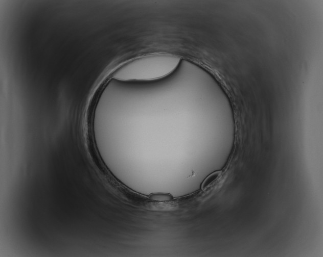 X0000099580102200805160754