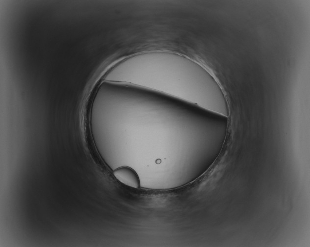 X0000099580103200805160754